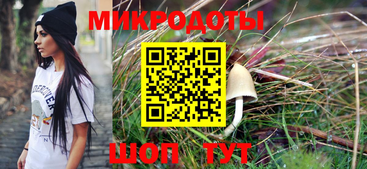 Галлюциногенные грибы GOLDEN TEACHER  Вход с VPN  Будённовск 